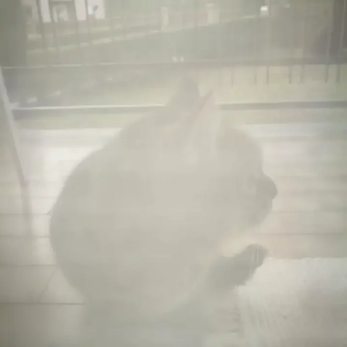 Na-Pa-Luna_025