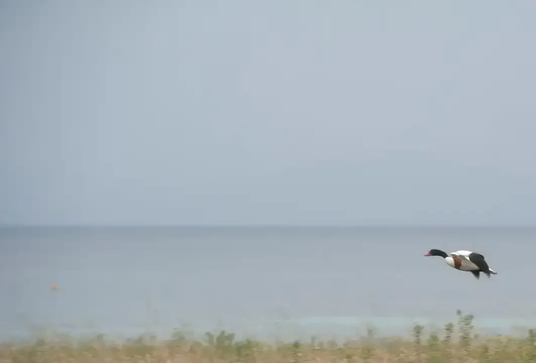 Na-Pa-mare_021