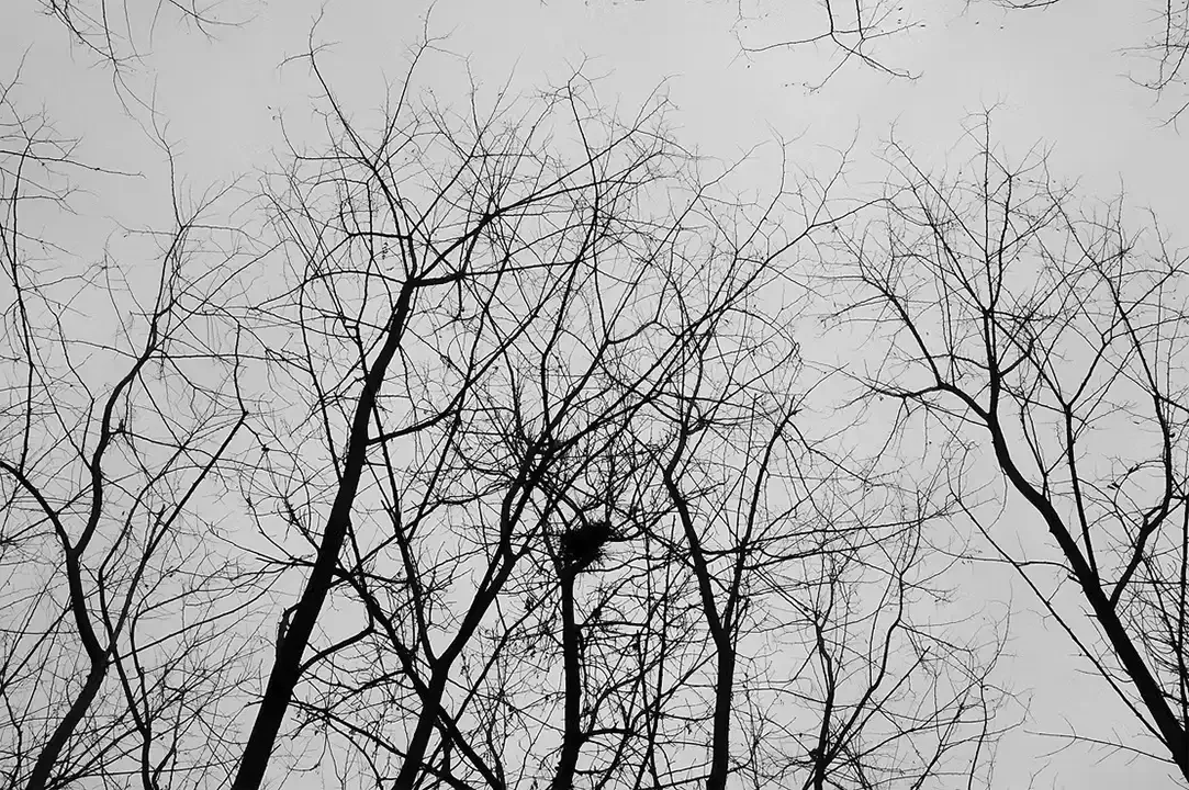 Na-Pa-tempo-sospeso_021